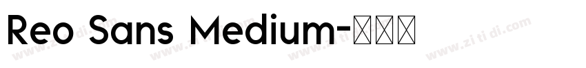 Reo Sans Medium字体转换